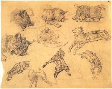 Géricault - Studies of a Cat, c. 1820-1821