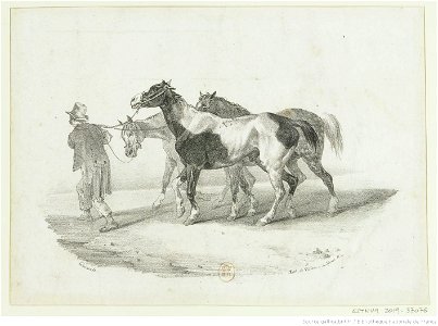 Géricault - Trois chevaux conduits à l'écorcheur, btv1b10028035h
