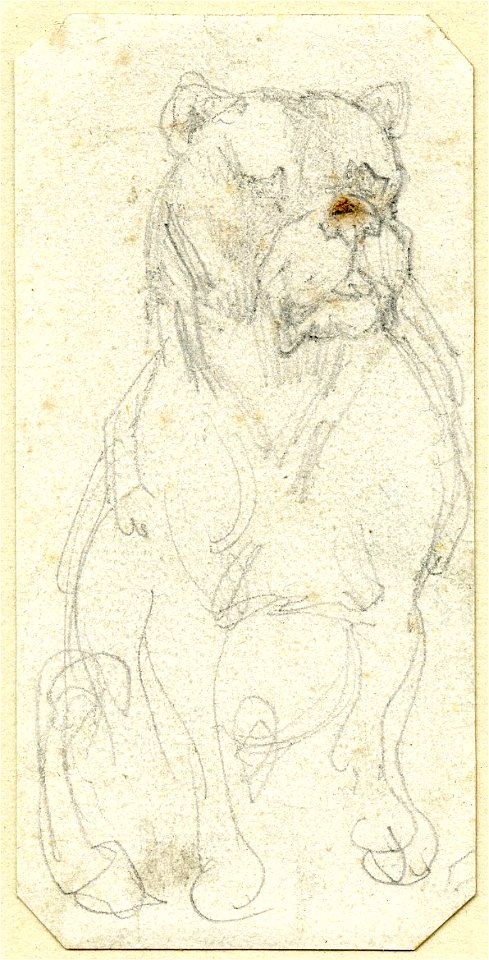 Géricault - Sketch of a bulldog, 1900,0613.10