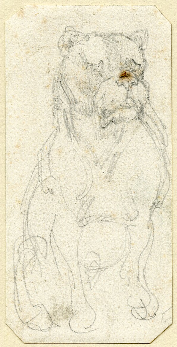 Géricault - Sketch of a bulldog, 1900,0613.10