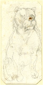 Géricault - Sketch of a bulldog, 1900,0613.10