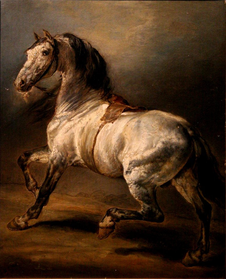 Géricault-étude de cheval gris
