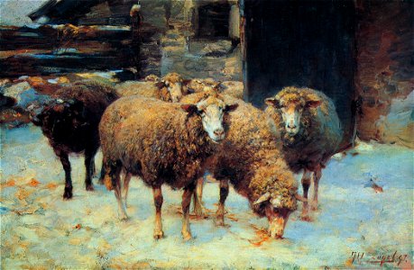 H-v-zuegel-schafe1897