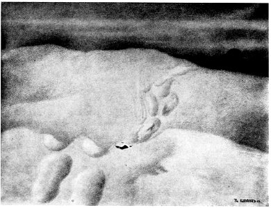 Haa var detta for nokko - (cabin on snowy mountain) - 1905