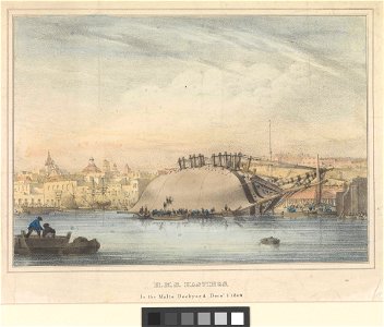 H.M.S. Hastings In the Malta Dockyard December 7 1840 RMG PW8030