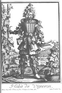 Habit de vigneron
