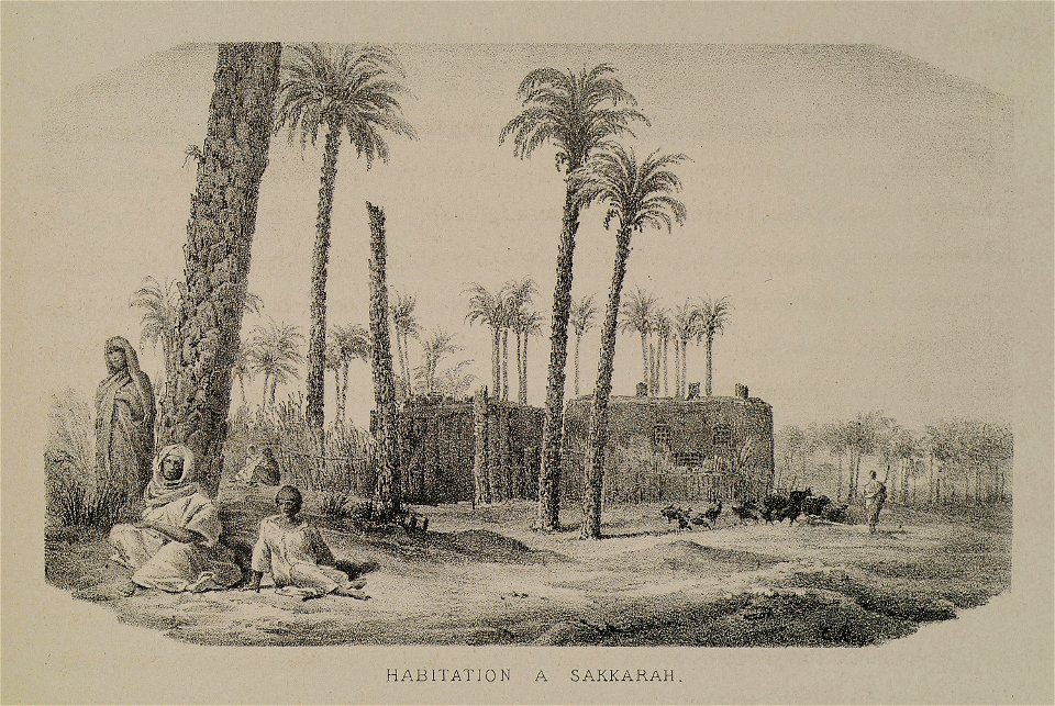 Habitation à Sakkarah - Rey Etienne - 1867