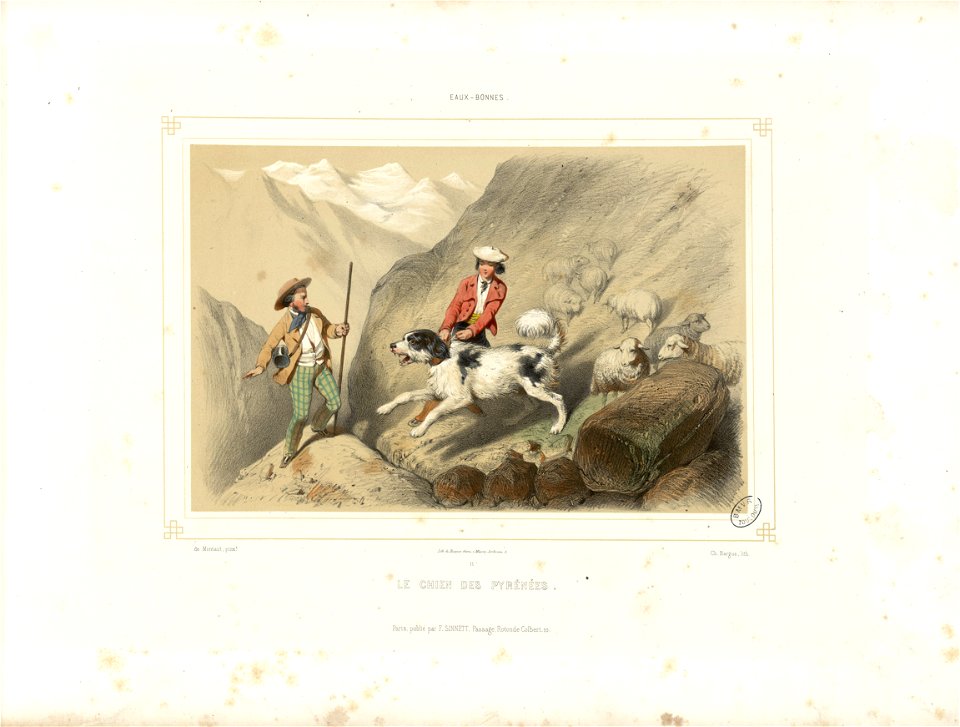 Eaux-Bonnes - Le chien des Pyrénées - Fonds Ancely - B315556101 A MONTAUT 013