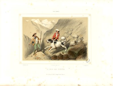 Eaux-Bonnes - Le chien des Pyrénées - Fonds Ancely - B315556101 A MONTAUT 013
