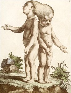 Ecarts de la nature - double enfant