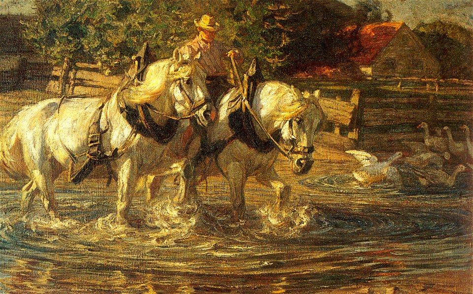 Eckenfelder C36 1909