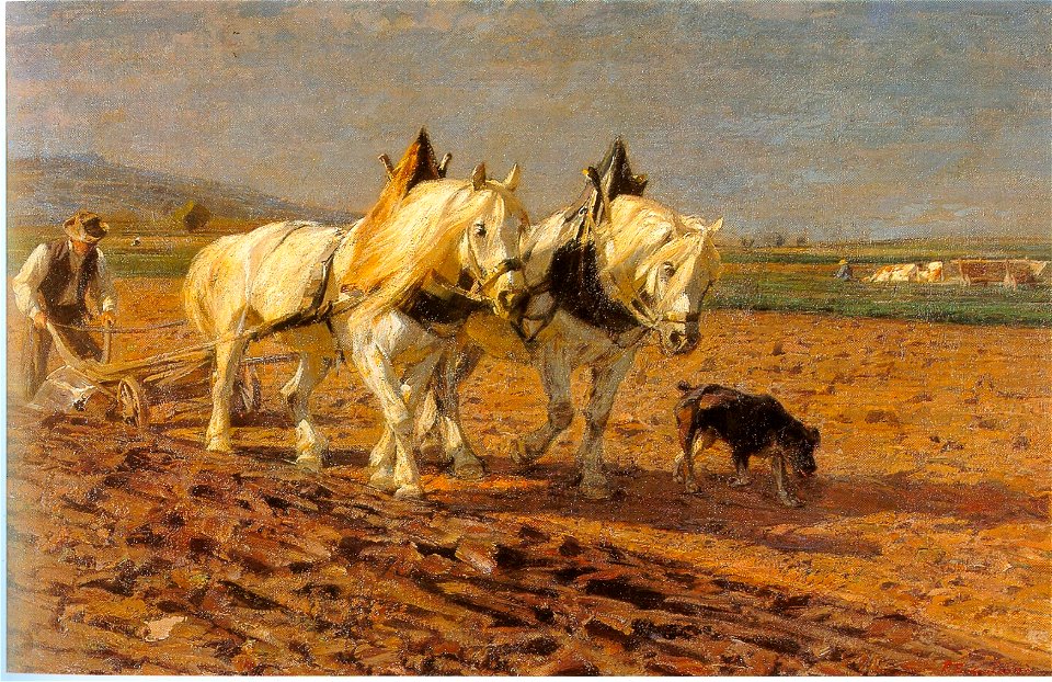 Eckenfelder E59 1899-1900