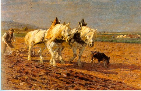 Eckenfelder E59 1899-1900