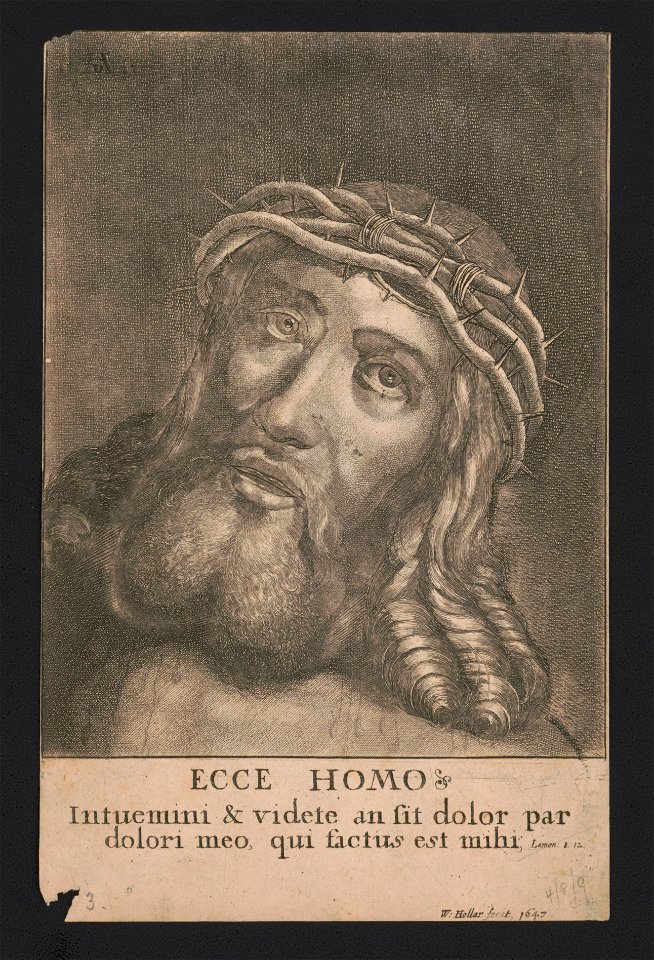 Ecce homo LCCN2004669636