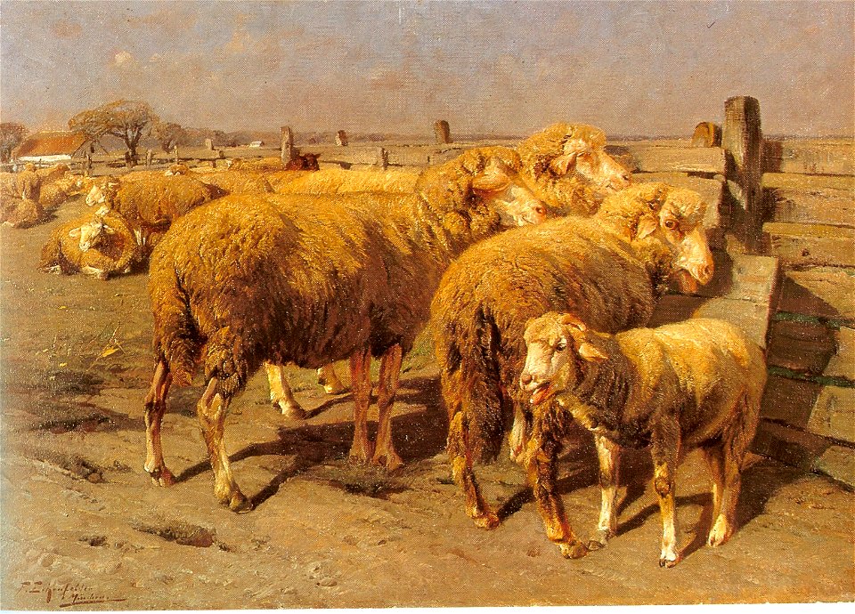 Eckenfelder A49 1890- 1892