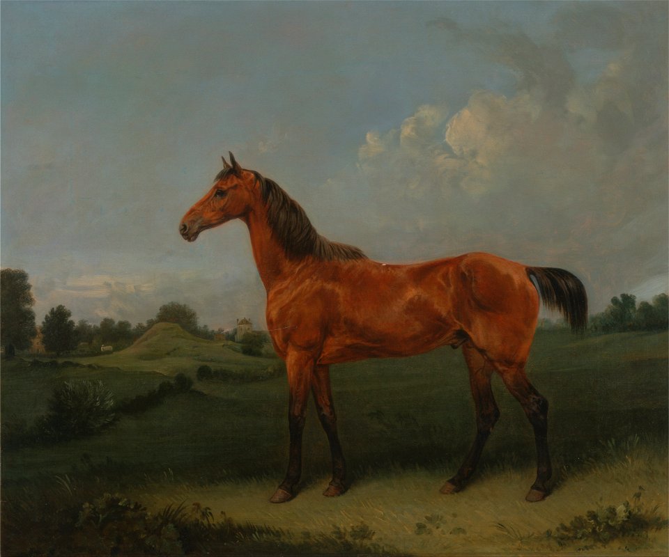 Edmund Bristow - A Bay Horse in a Field - Google Art Project