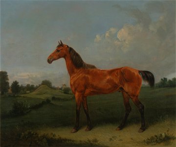 Edmund Bristow - A Bay Horse in a Field - Google Art Project. Free illustration for personal and commercial use.