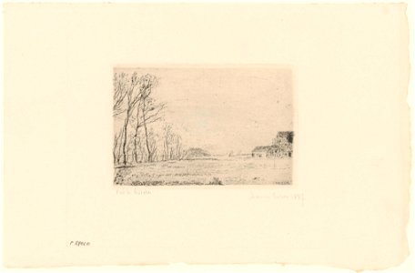 Edge of the Little Wood Ostend, print by James Ensor, 1888, Prints Department, Royal Library of Belgium, F. 27010