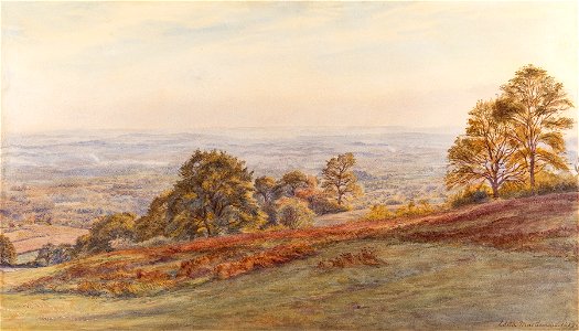 Edith Martineau - Martineau-96401 - Leith Hill
