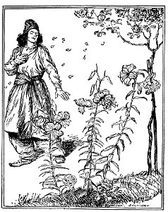 Edmund J Sullivan Illustrations to The Rubaiyat of Omar Khayyam First Version Quatrain-068