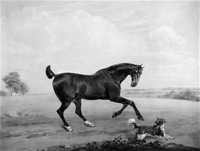 Edmund Bristow (1787-1876) - Beauty with a Spaniel - RCIN 401467 - Royal Collection