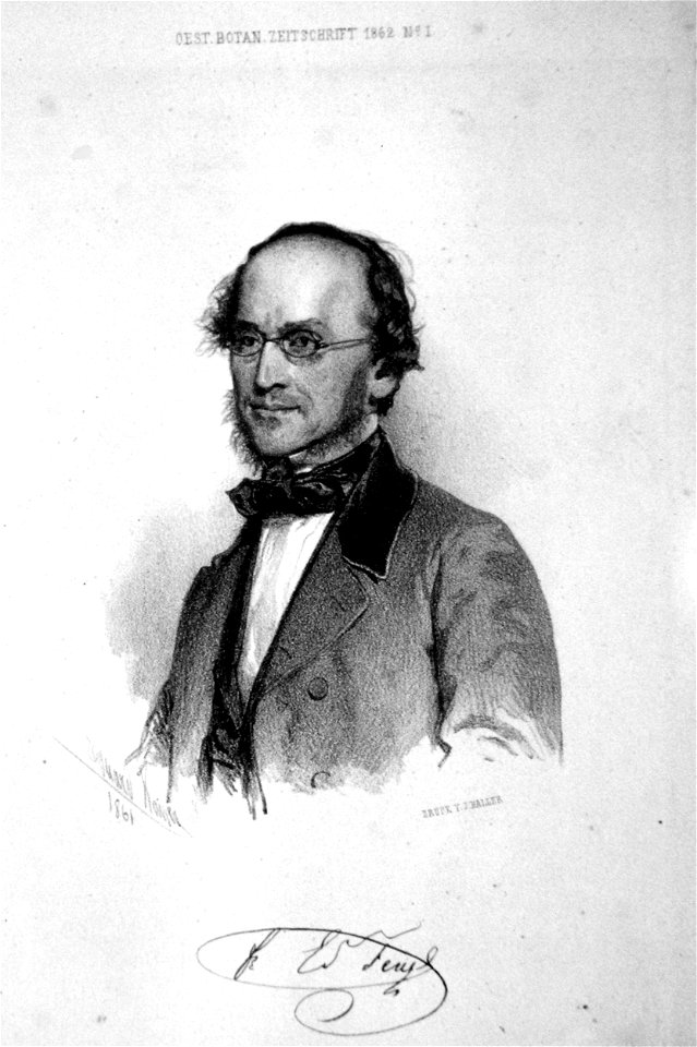 Eduard Fenzl Litho Kaiser