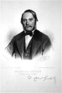 Eduard Herbst Litho