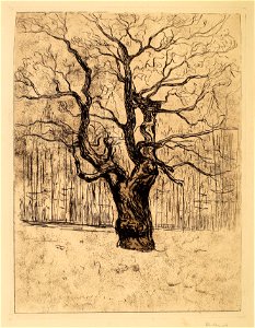 Edvard Munch The Oak Thielska 297M45