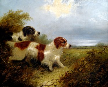 Edward Armfield Two Terriers