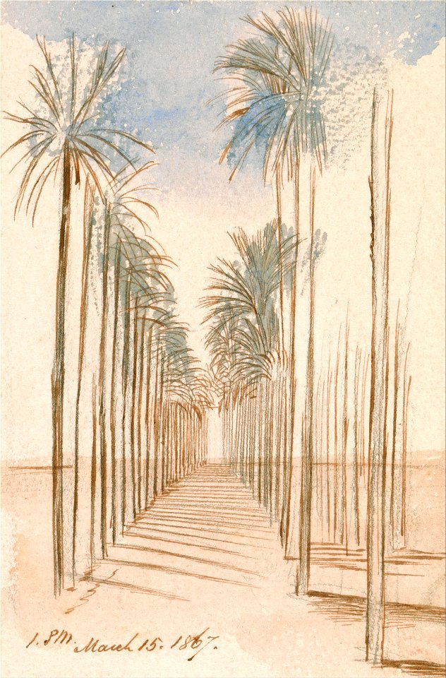 Edward Lear - Avenue of Trees - Google Art Project