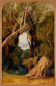 Edward Lear - Corfu from near the Village of Virós - 56.085 - Rhode Island School of Design Museum
