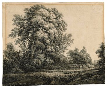 Edward Lear - Forest Landscape - Google Art Project