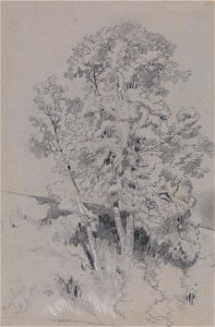 Edward Lear - Burpham Oct.4.1834 - Google Art Project