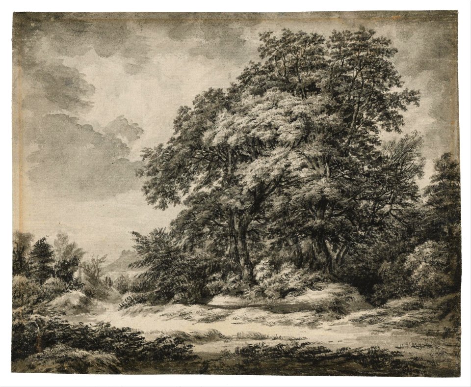 Edward Lear - Forest Landscape - Google Art Project (PwFFbW Gv8jOtQ)