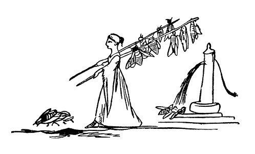 Edward Lear A Book of Nonsense 88