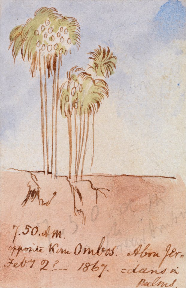 Edward Lear - Opposite Kom Ombos Abu Jer - Google Art Project