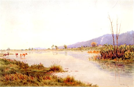 Edward Noel Barraud - River Scene, Otaki - Sarjeant Gallery