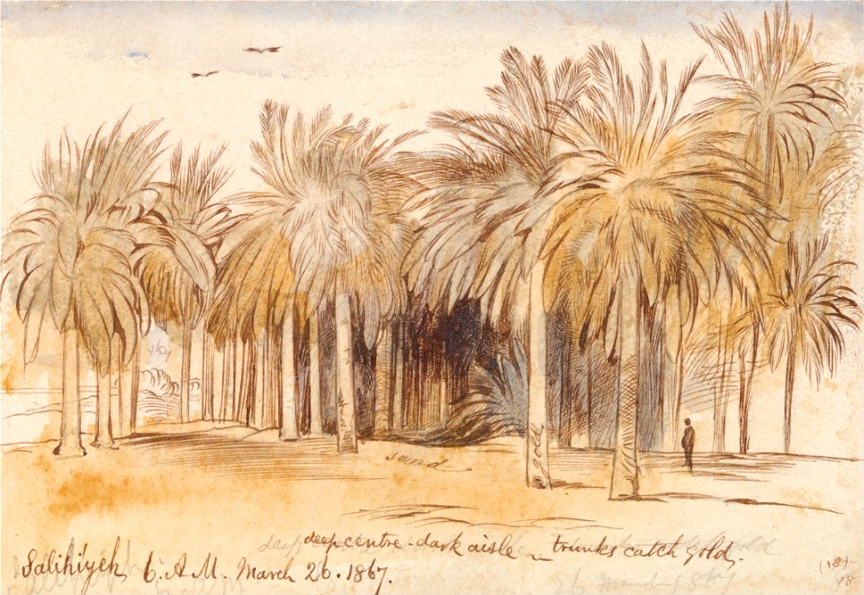 Edward Lear - Salahiyeh - Google Art Project