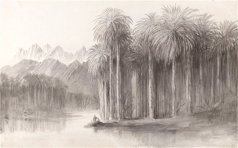 Edward Lear - Wady Feiran, Peninsula of Mt. Sinai - Google Art Project. Free illustration for personal and commercial use.