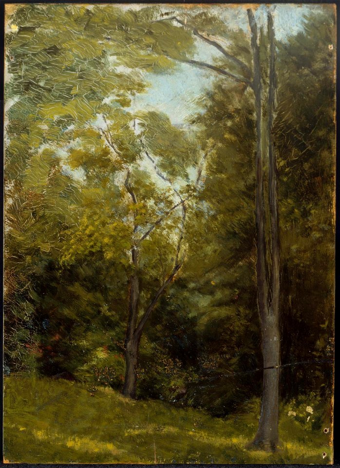 Edward Stieglitz - Landscape - 1987.538b - Museum of Fine Arts