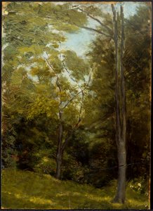 Edward Stieglitz - Landscape - 1987.538b - Museum of Fine Arts