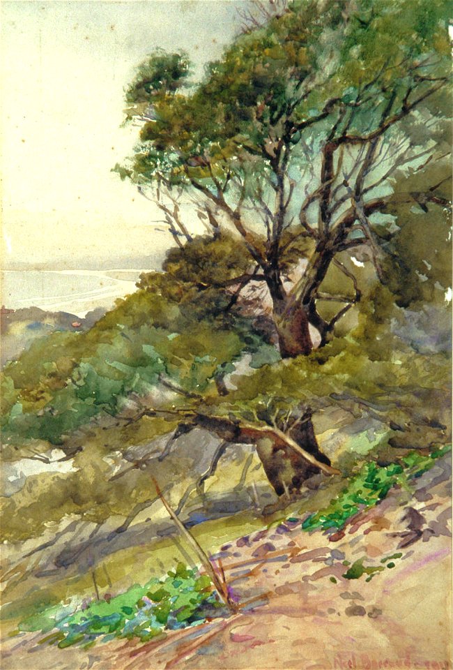Edward Noel Barraud - NZ Coast Scene - Sarjeant Gallery