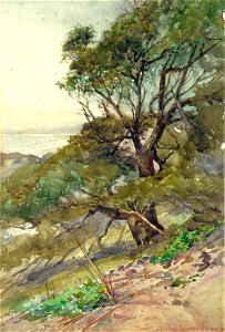 Edward Noel Barraud - NZ Coast Scene - Sarjeant Gallery