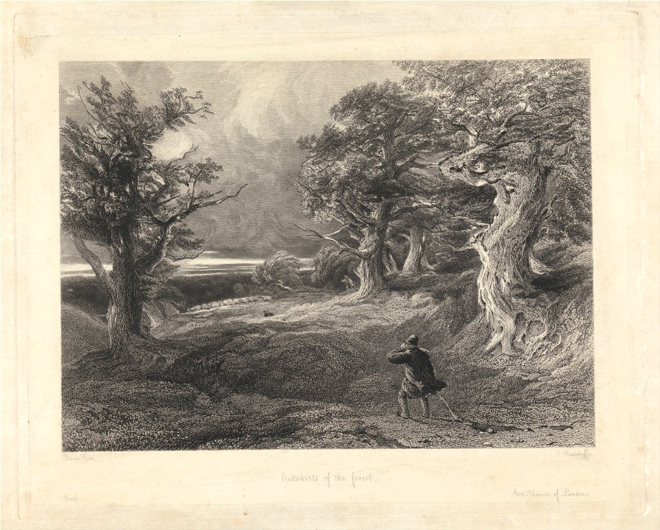 Edward Radclyffe - Outskirts of the Forest - Google Art Project