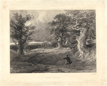 Edward Radclyffe - Outskirts of the Forest - Google Art Project