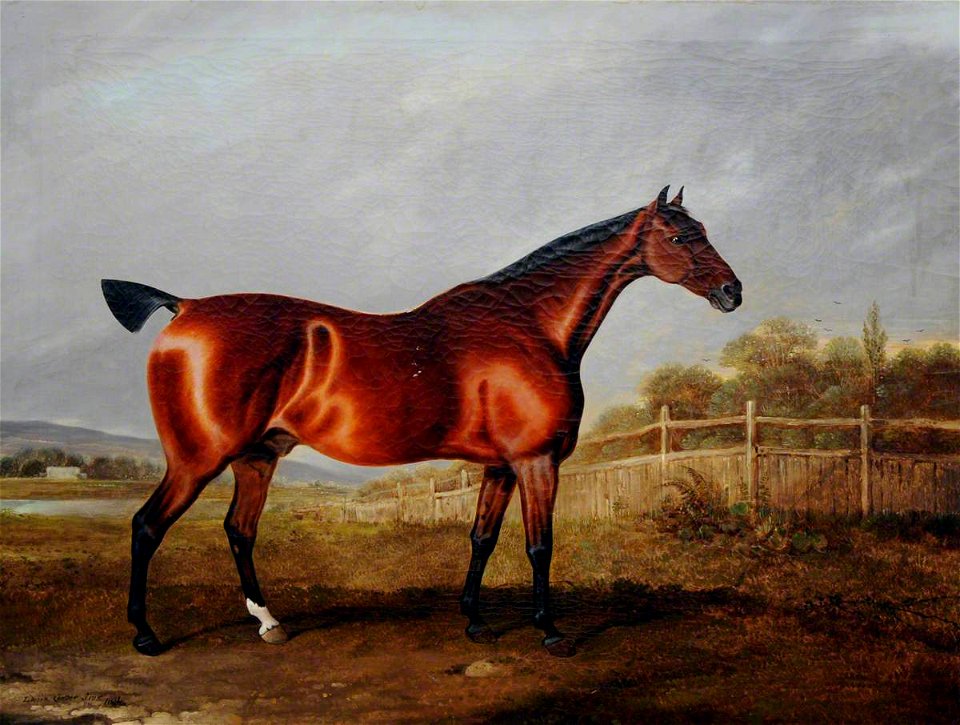 Edwin Cooper (1785-1833) - A Bay Hunter in a Landscape - 290349 - National Trust