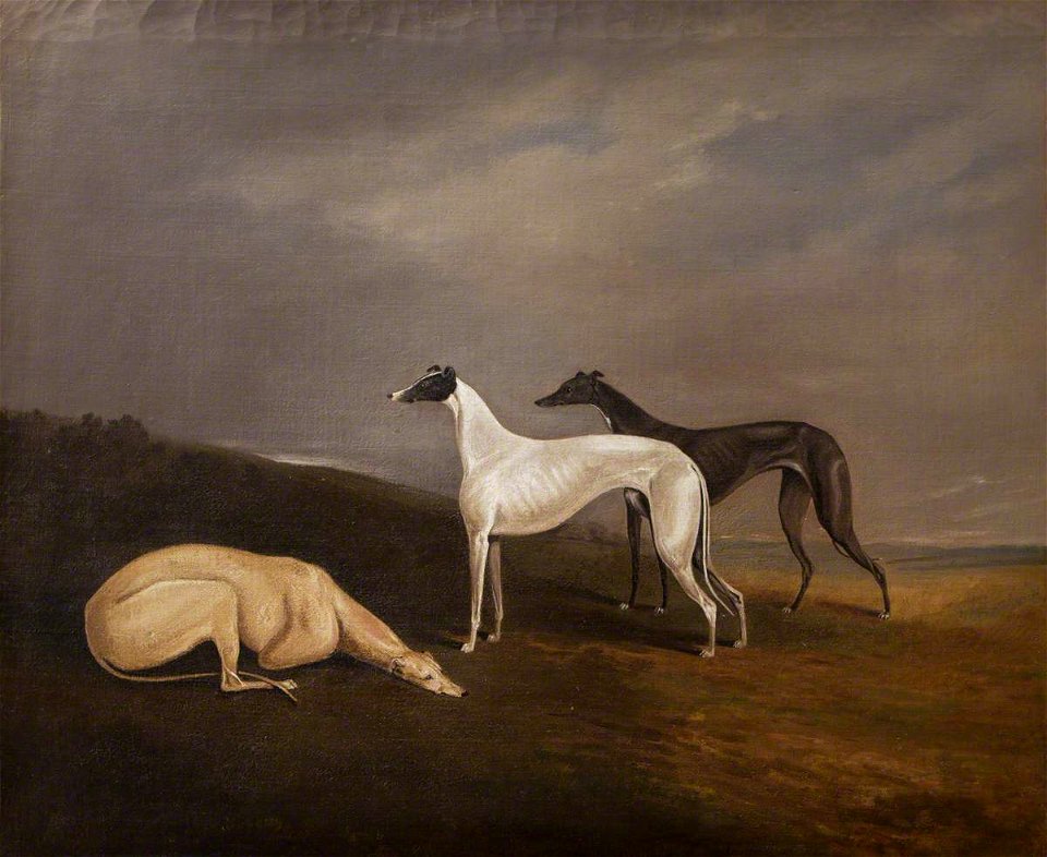 Edwin Cooper (1785-1833) - Three Greyhounds in a Landscape - 800847 - National Trust