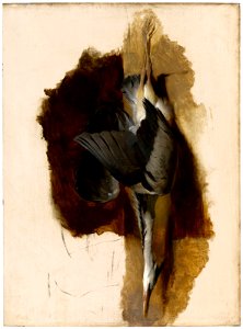 Edwin Landseer - Study of a Dead Heron - 2011.209 - Museum of Fine Arts