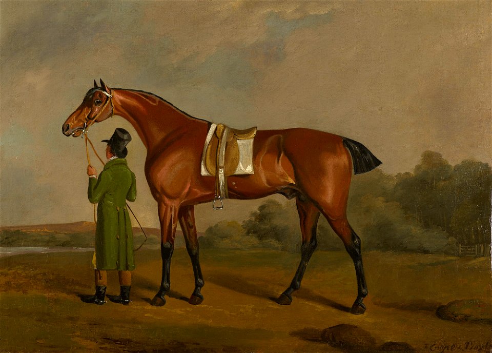 Edwin Cooper (1785-1833) - Banker, a Racehorse Belonging to Frederick, Duke of York - RCIN 402423 - Royal Collection