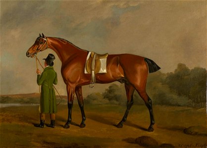 Edwin Cooper (1785-1833) - Banker, a Racehorse Belonging to Frederick, Duke of York - RCIN 402423 - Royal Collection
